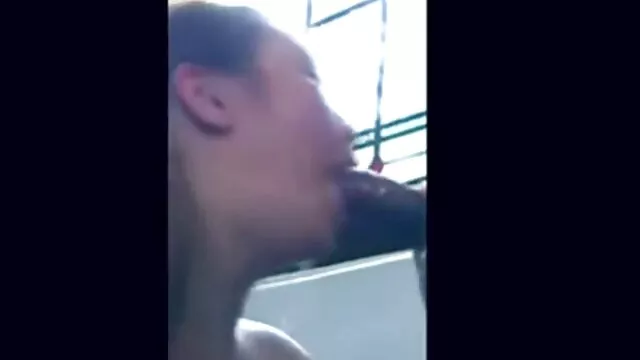 سوزانا بکنبکن سوپر 9287002